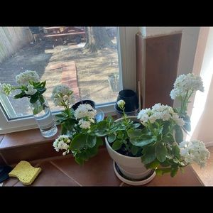 Meet your Posher, Adrian